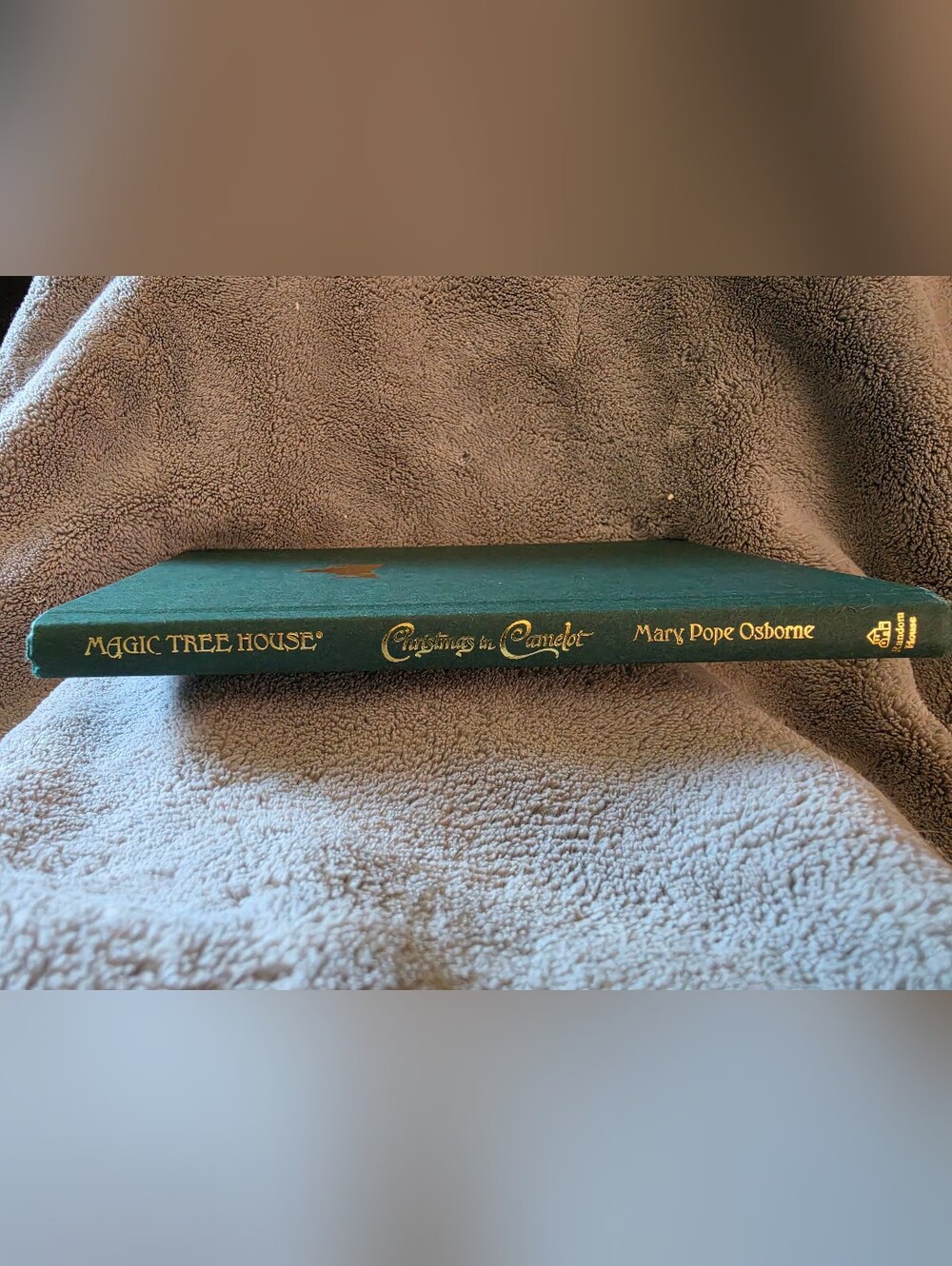 Hardcover Edition of Christmas in Camelot (Magic Tree House #29)